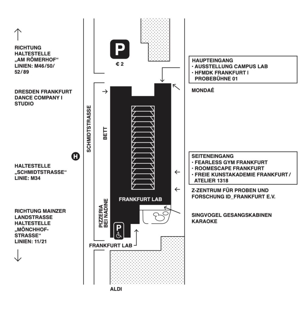 Geländeplan Schmidtstrasse 12